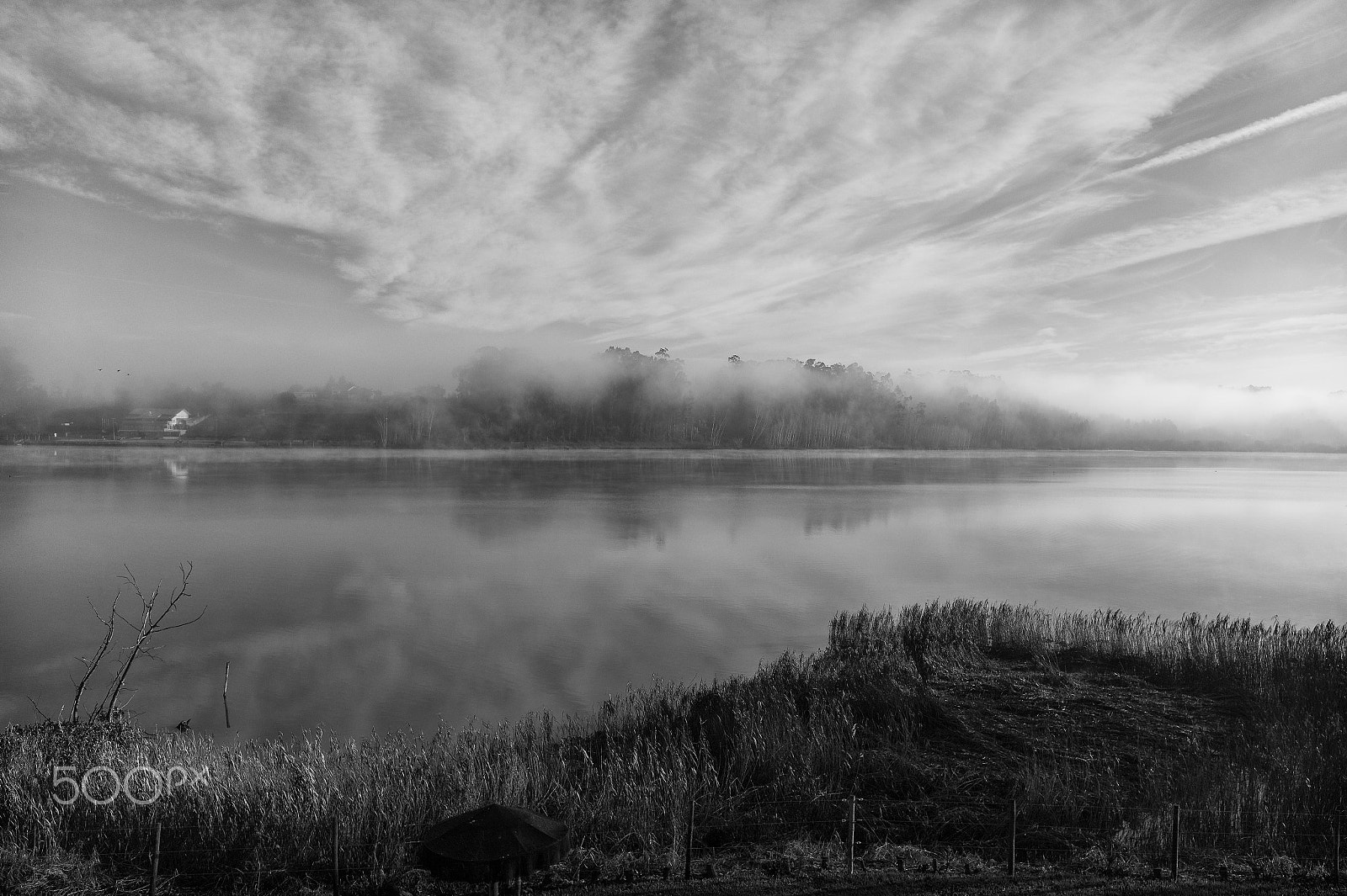 Leica Elmarit-M 24mm F2.8 ASPH sample photo. Pateia de fermentemos photography