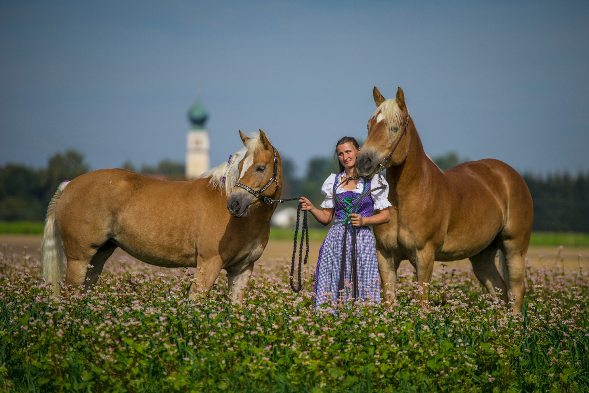 Sony a7 II + Tamron SP 70-200mm F2.8 Di VC USD sample photo. Haflinger & dirndl photography