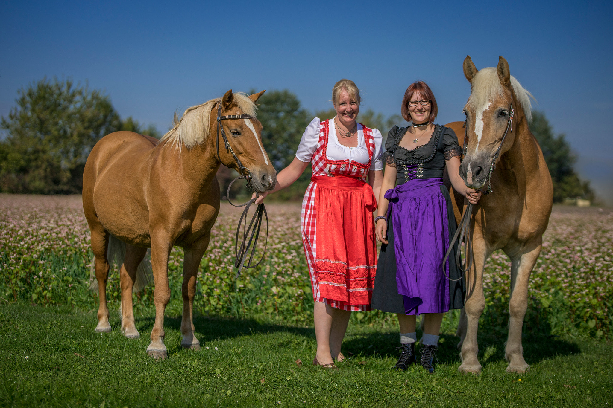 Sony a7 II + Tamron SP 70-200mm F2.8 Di VC USD sample photo. Haflinger & dirndl photography