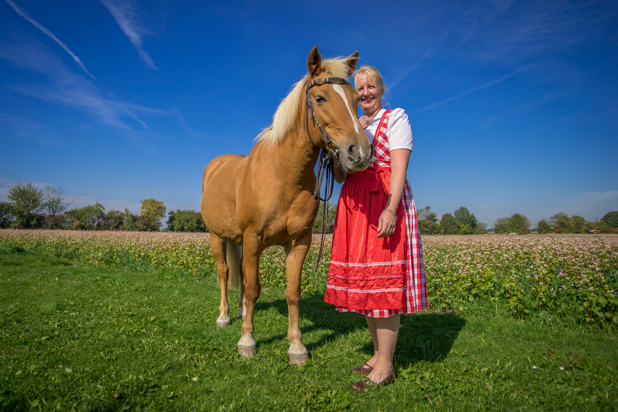 Sony a7 II + Minolta AF 17-35mm F2.8-4 (D) sample photo. Haflinger & dirndl photography