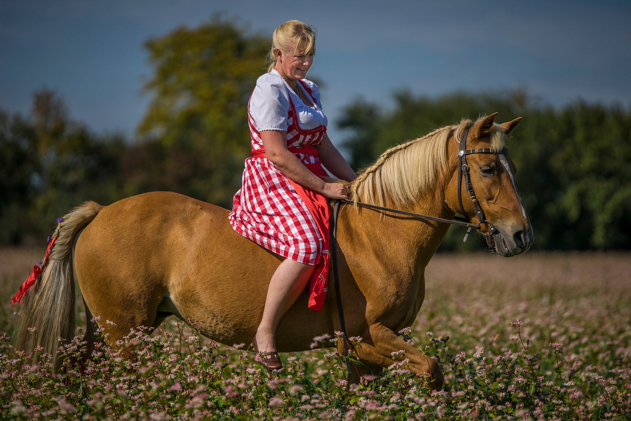 Sony a7 II + Tamron SP 70-200mm F2.8 Di VC USD sample photo. Haflinger & dirndl photography