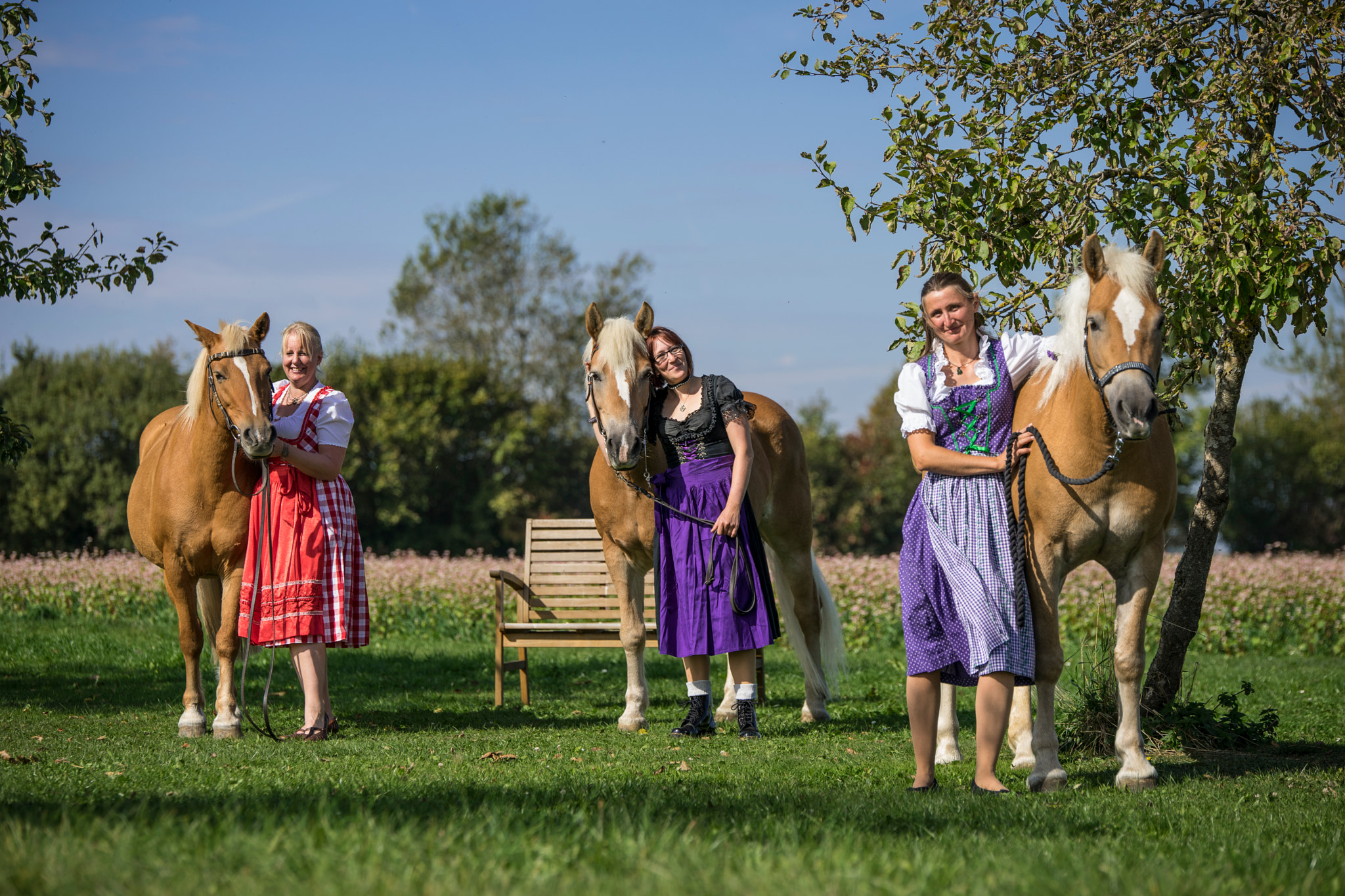 Sony a7 II + Tamron SP 70-200mm F2.8 Di VC USD sample photo. Haflinger & dirndl photography