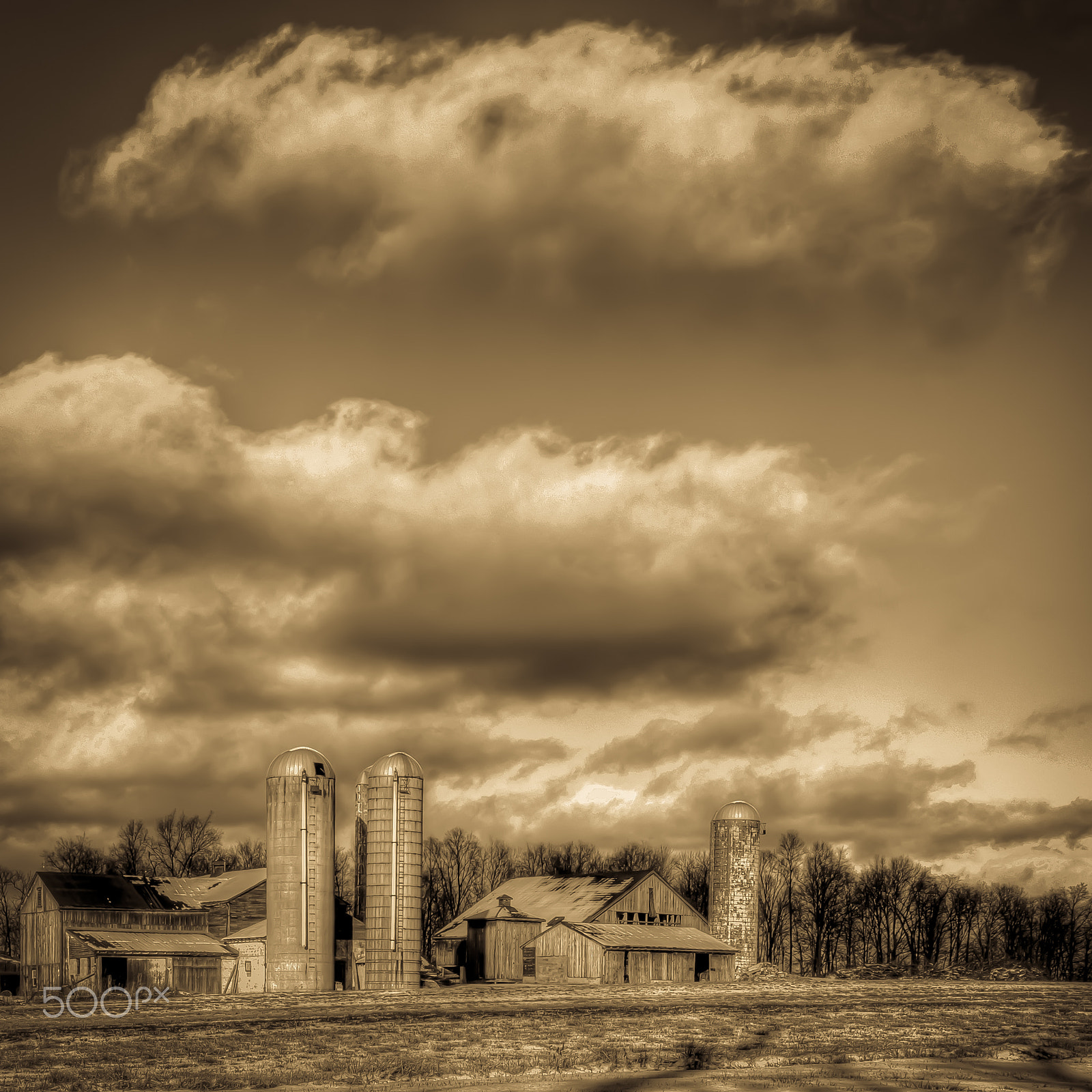 Canon EOS 70D + Canon EF-S 17-55mm F2.8 IS USM sample photo. Four silos farm photography