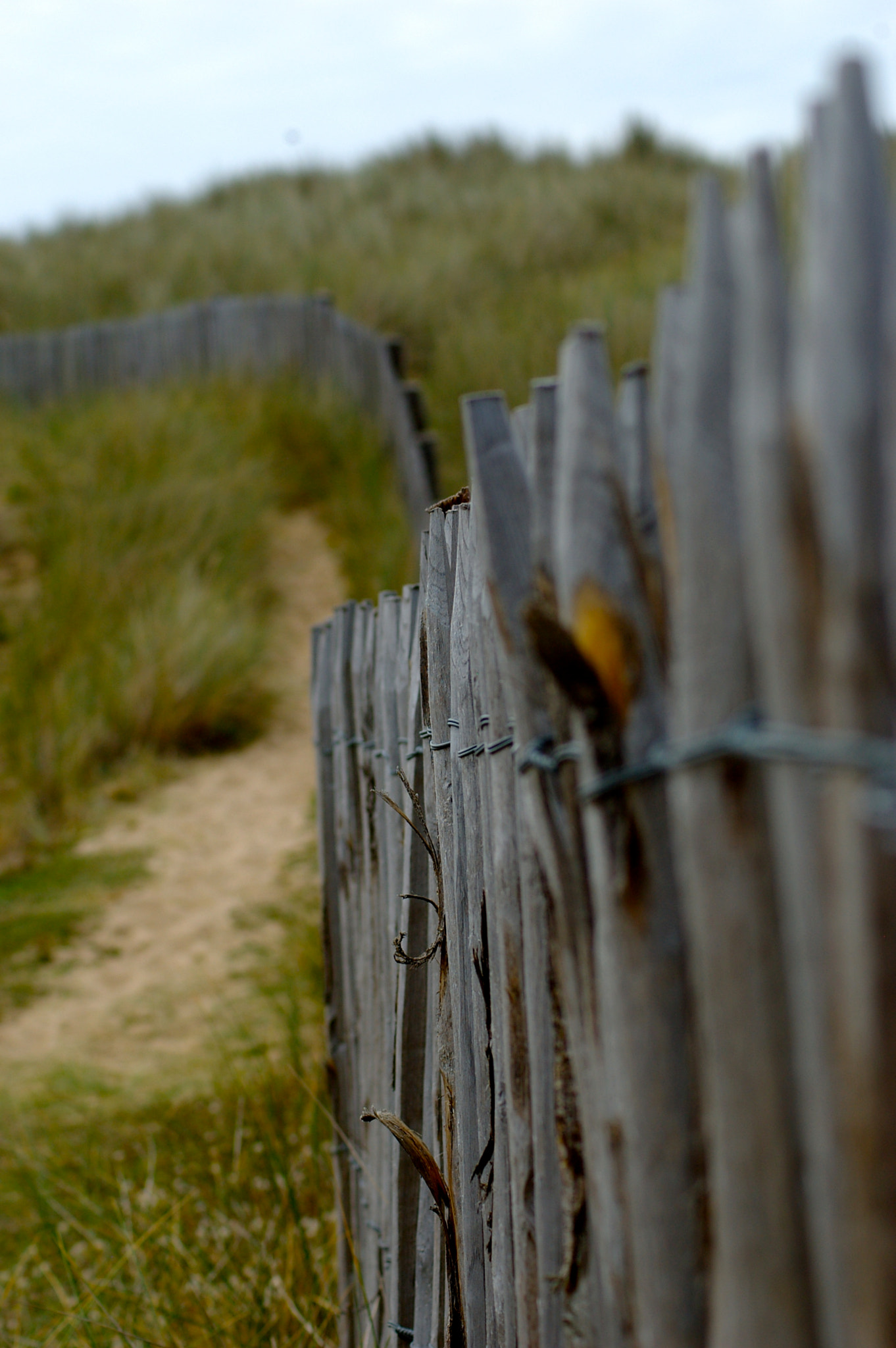 Pentax *ist DL sample photo. Normandy photography