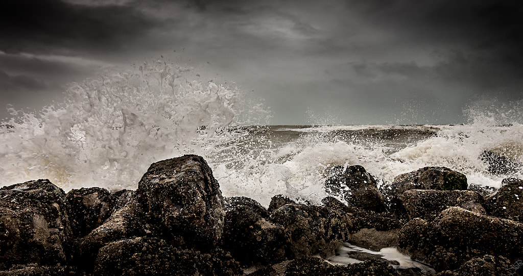 Nikon D60 sample photo. Westende - seven beaufort photography