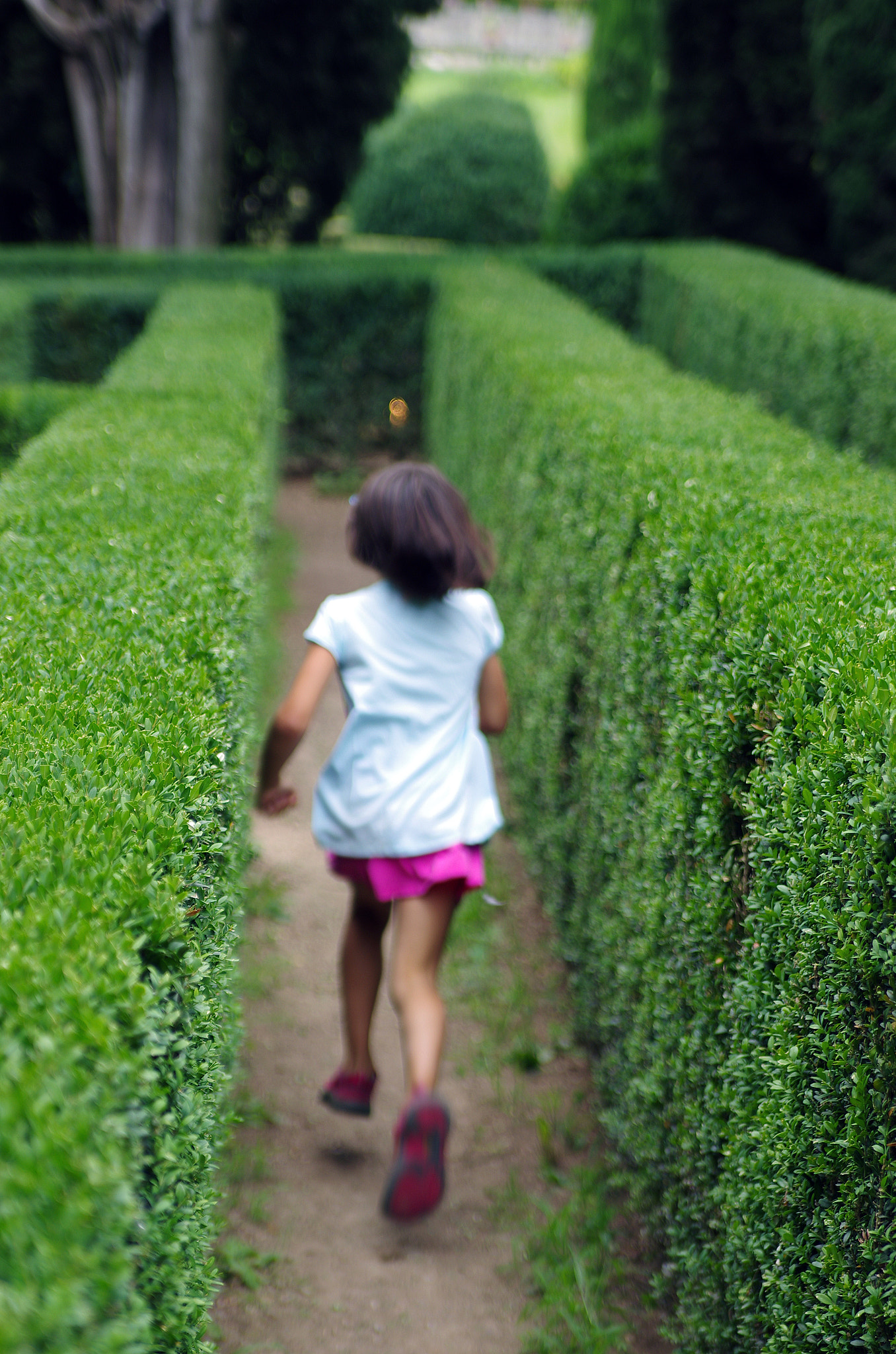 Tamron AF 28-75mm F2.8 XR Di LD Aspherical (IF) sample photo. Girl in maze photography