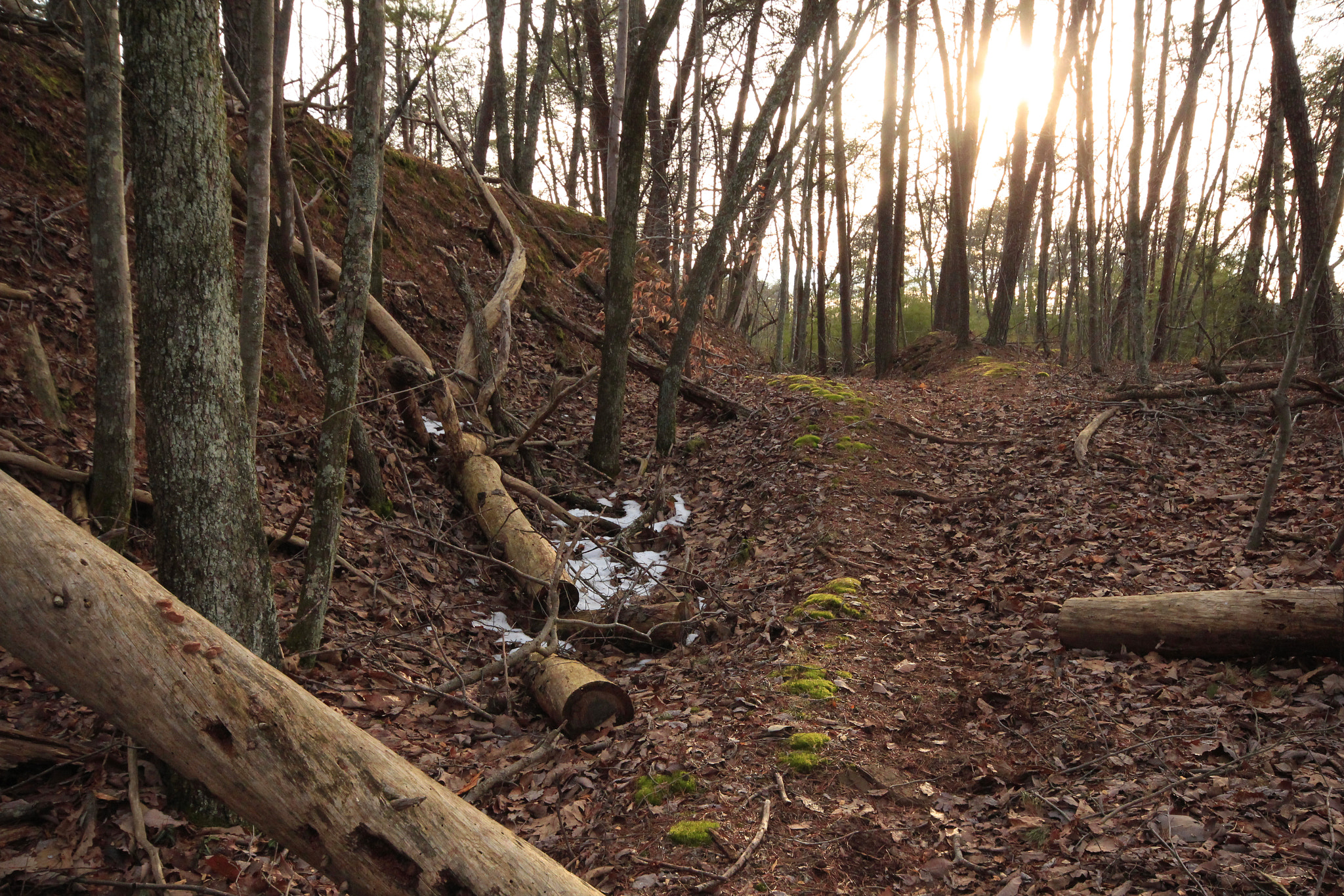 Sigma 10-20mm F4-5.6 EX DC HSM sample photo. Last of the snow photography
