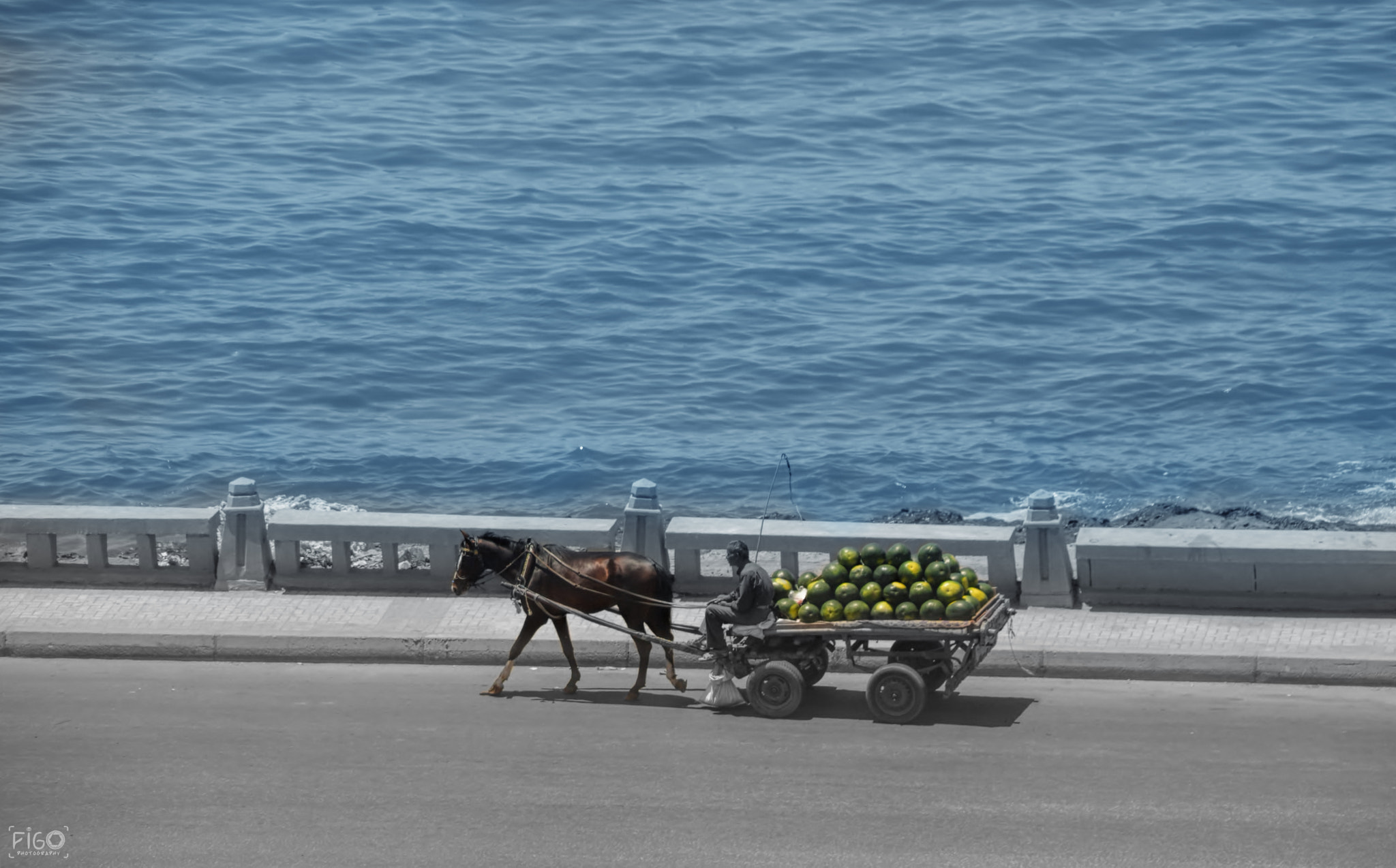 Nikon D3200 + Sigma 18-200mm F3.5-6.3 DC sample photo. Seller street watermelon photography