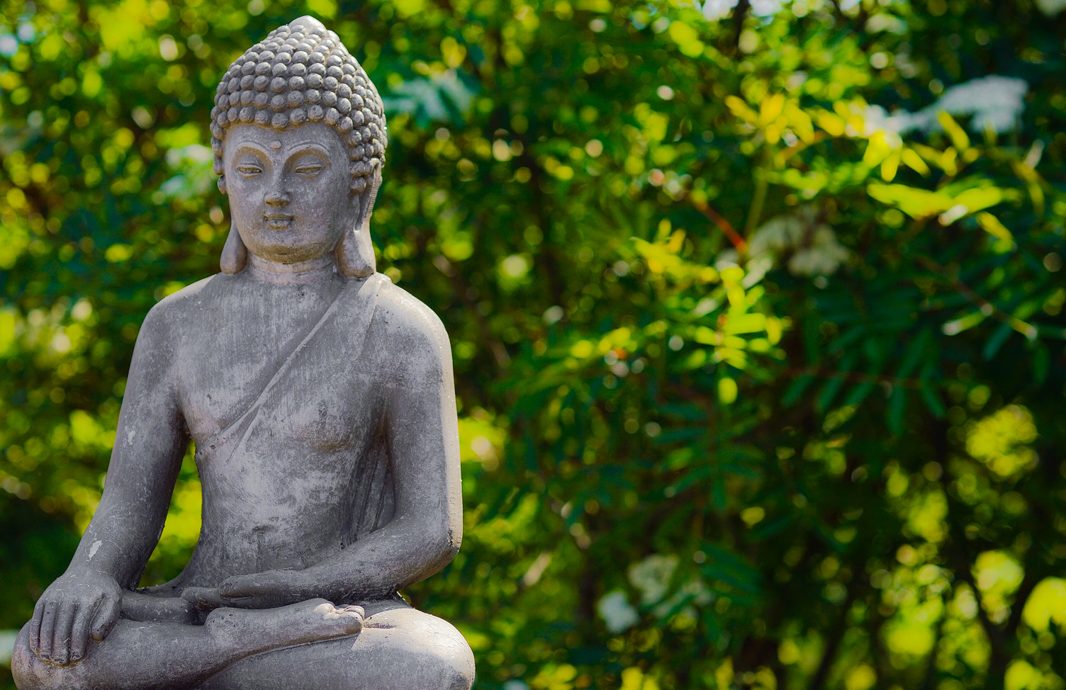 Nikon D3200 + AF Micro-Nikkor 55mm f/2.8 sample photo. Buddha photography