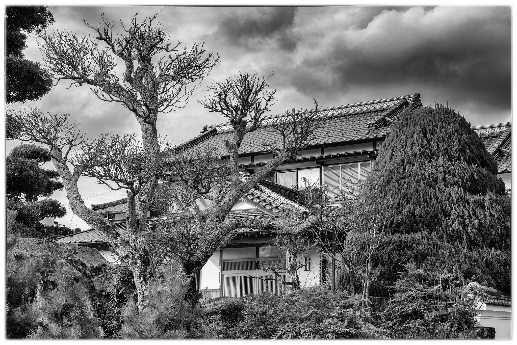 ZEISS Otus 55mm F1.4 sample photo. Yufuin photography