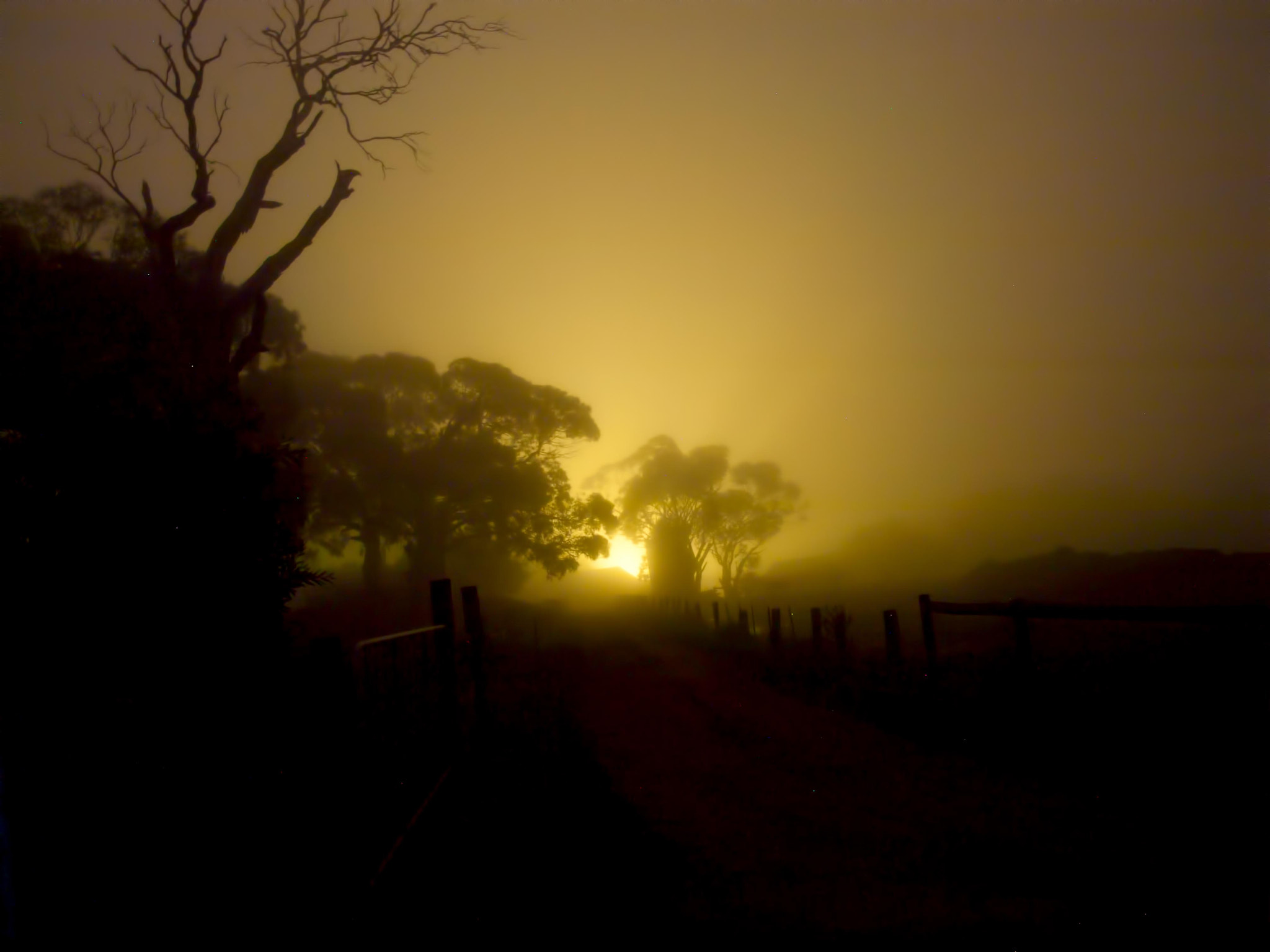 Olympus E-30 sample photo. Fog at mt martha photography