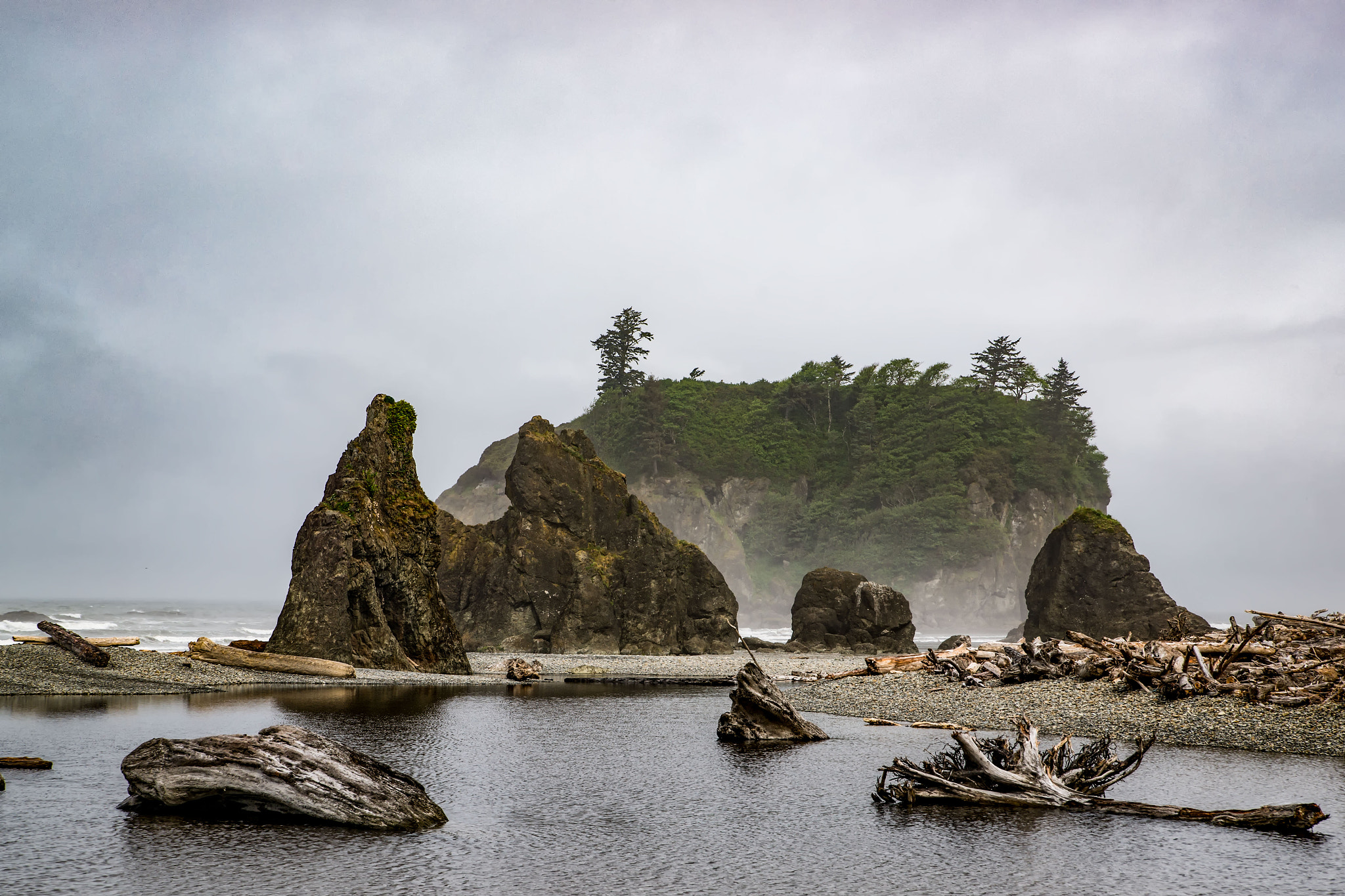 Sony Alpha DSLR-A850 + Sony 28-75mm F2.8 SAM sample photo. Olympic peninsula photography