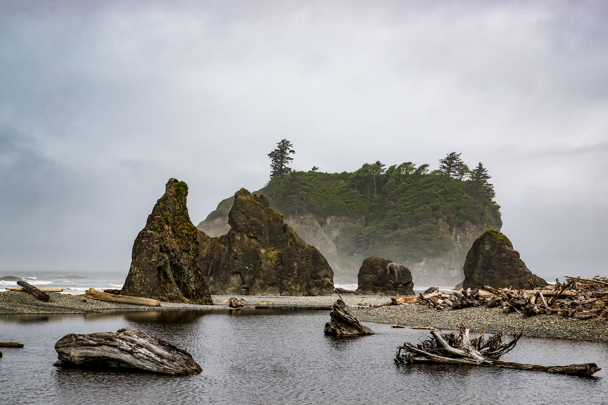 Sony Alpha DSLR-A850 sample photo. Olympic peninsula photography