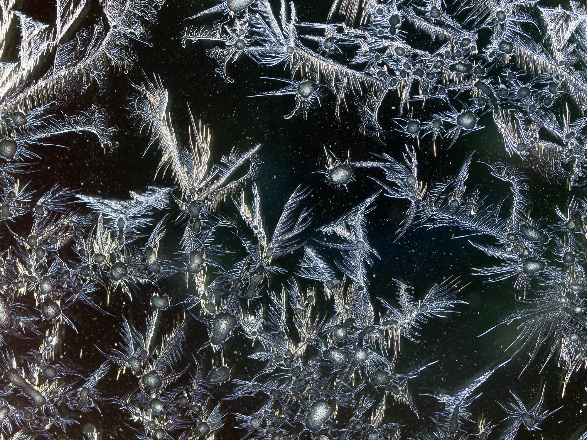 Olympus E-5 + OLYMPUS 50mm Lens sample photo. Ice crystals photography