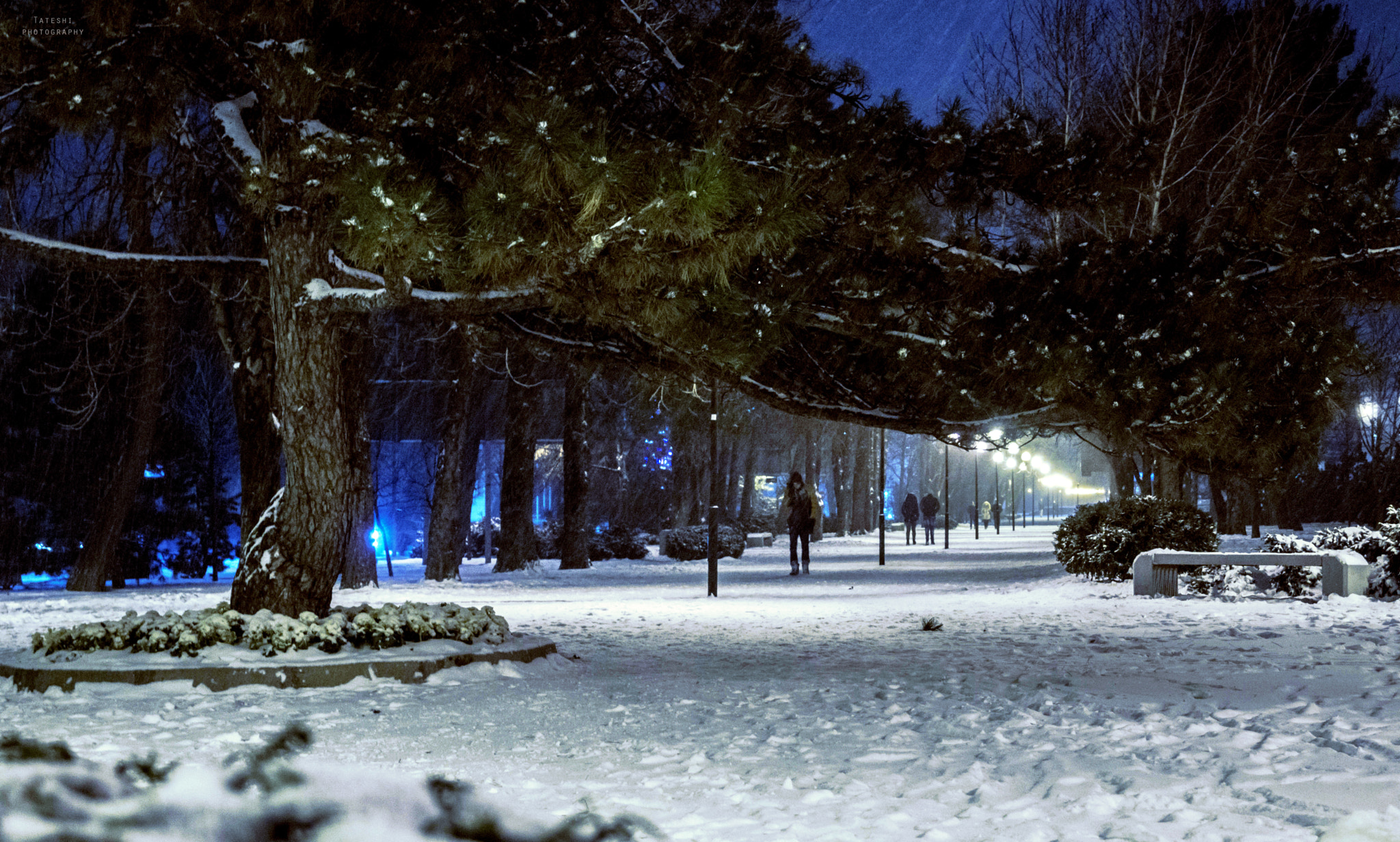 Sony SLT-A77 + Sony DT 18-55mm F3.5-5.6 SAM sample photo. в photography