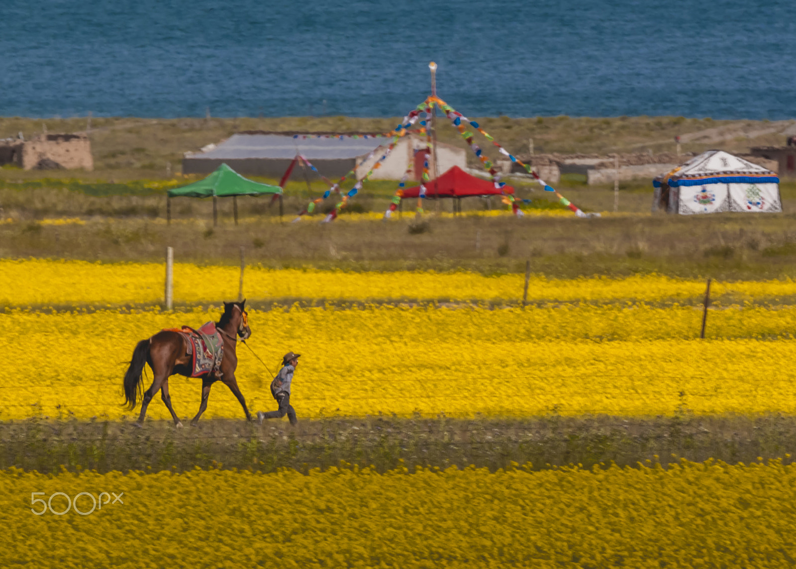 Canon EF 70-200mm F2.8L IS II USM sample photo. Horse and child photography