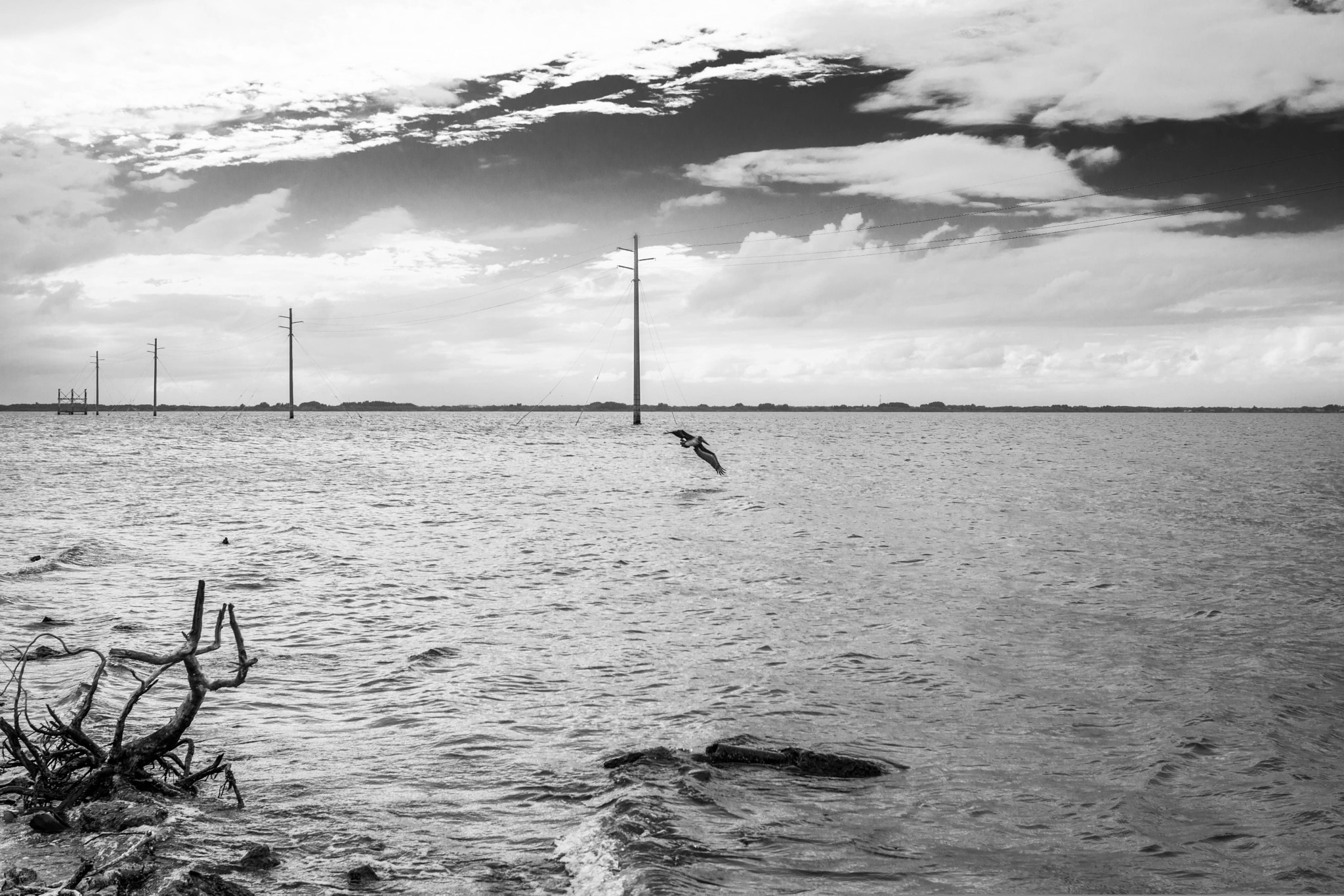 Nikon D7100 + AF Nikkor 28mm f/2.8 sample photo. Pelican flying over the river photography