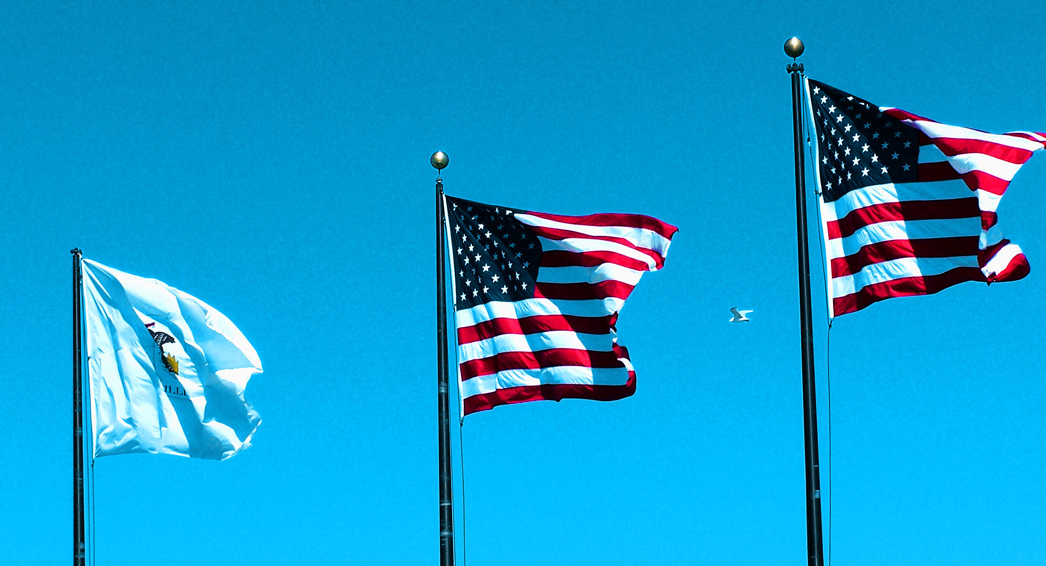 Kodak Z650 ZOOM DIGITAL CAMERA sample photo. Flag usa photography