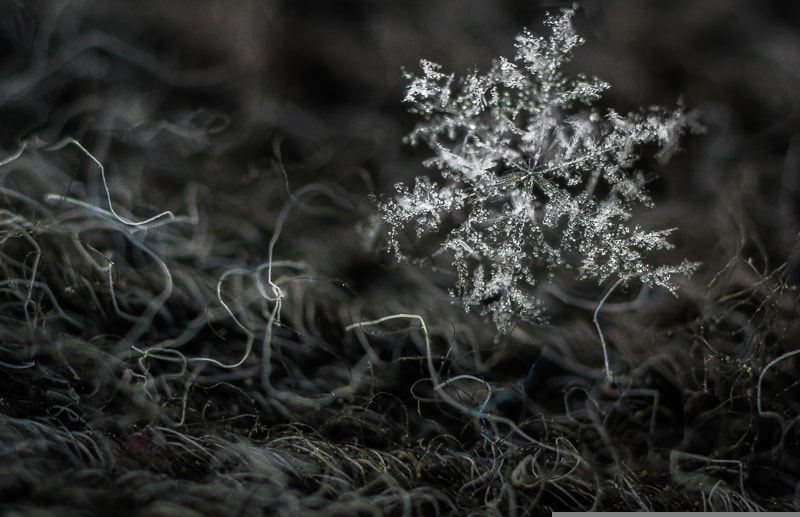 Pentax smc D-FA 50mm F2.8 Macro sample photo. Snowflake on glove photography