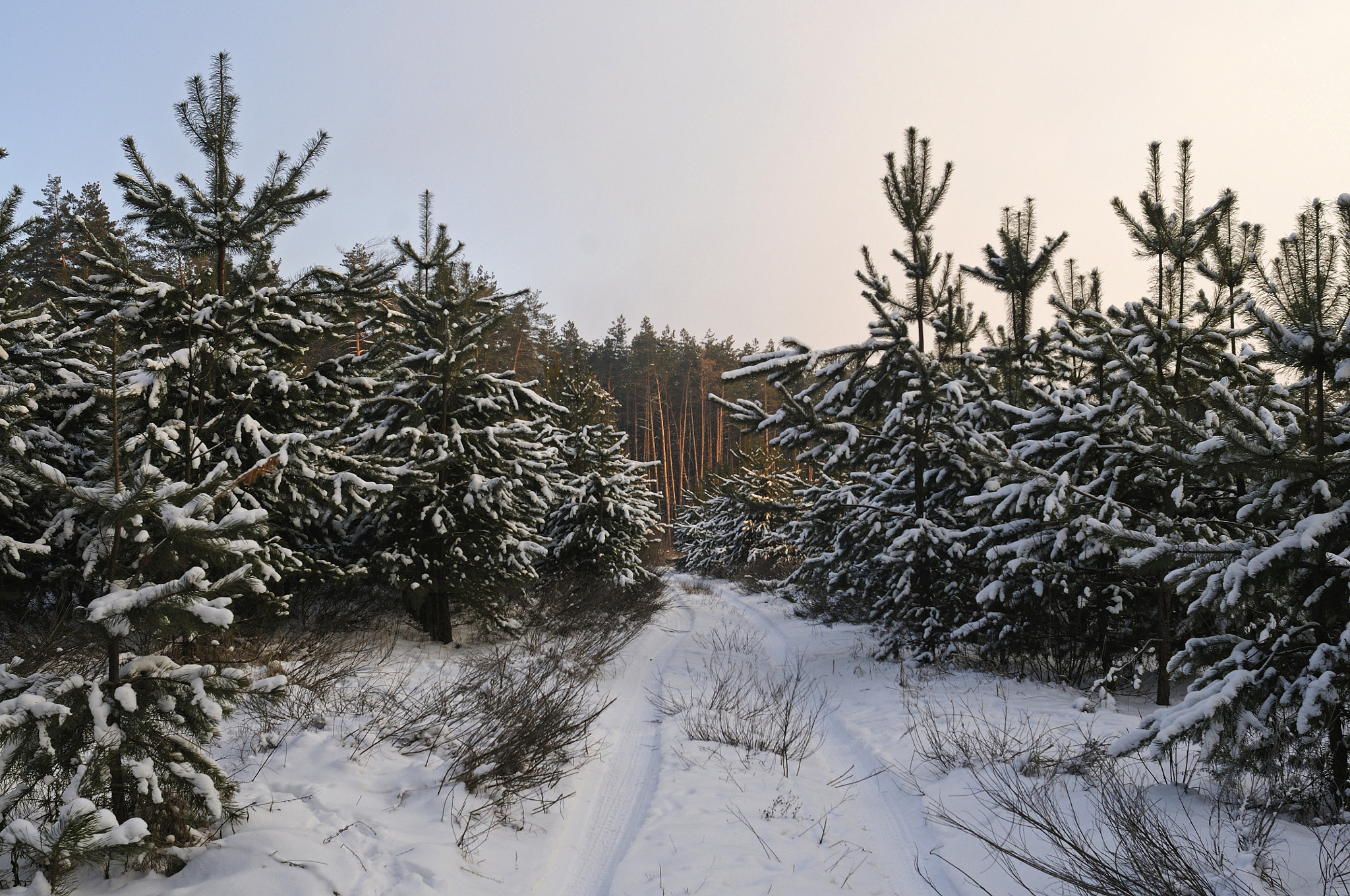 Nikon D300S + Nikon AF Nikkor 24mm F2.8D sample photo. Winter evening photography