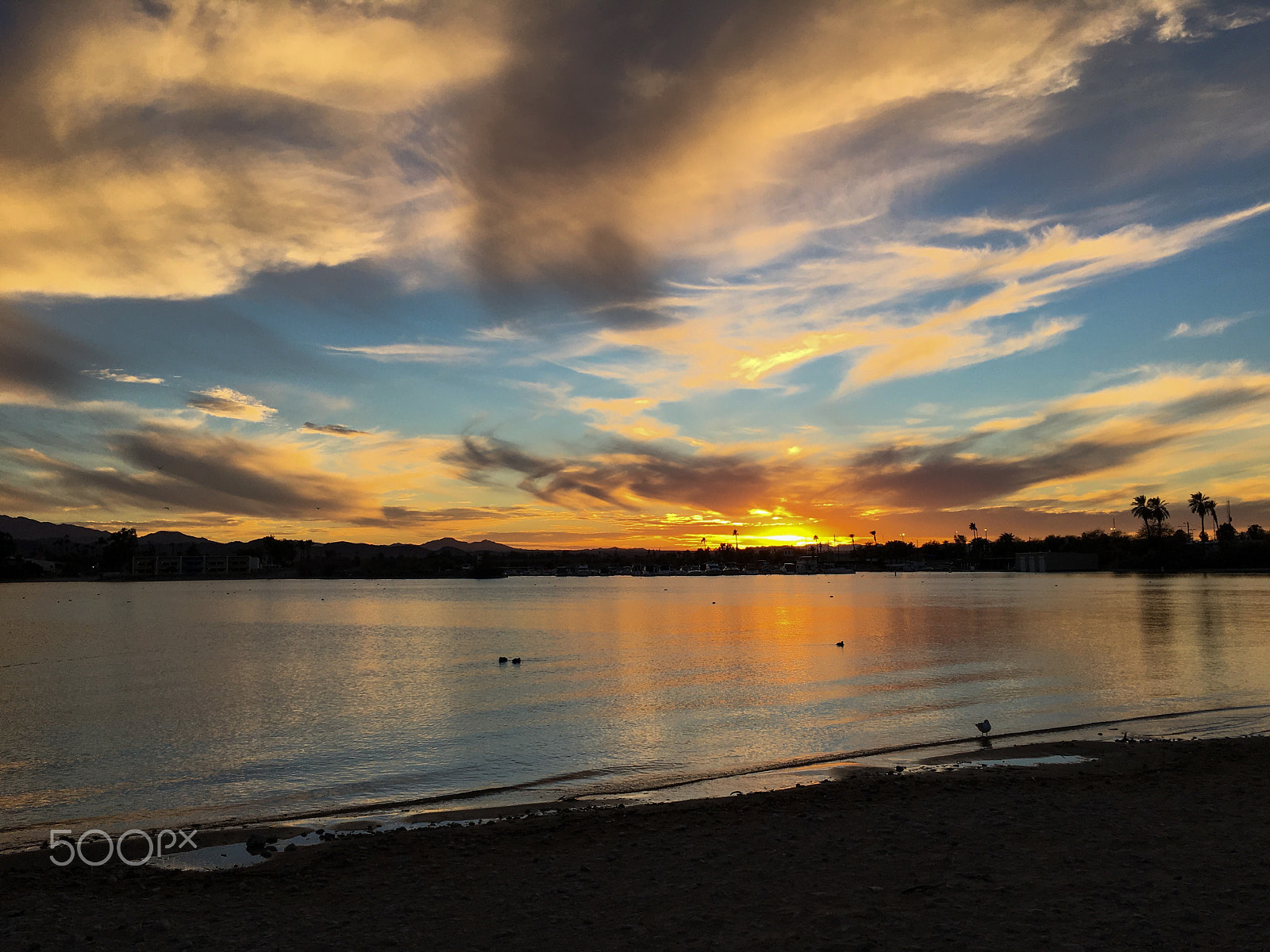 Hipstamatic 305 + iPhone 6s back camera 4.15mm f/2.2 sample photo. Lake havasu at dusk photography