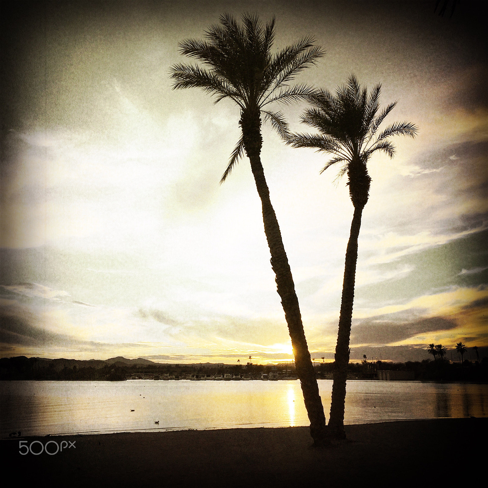 Hipstamatic 305 sample photo. Sunset palm tree sihouette photography