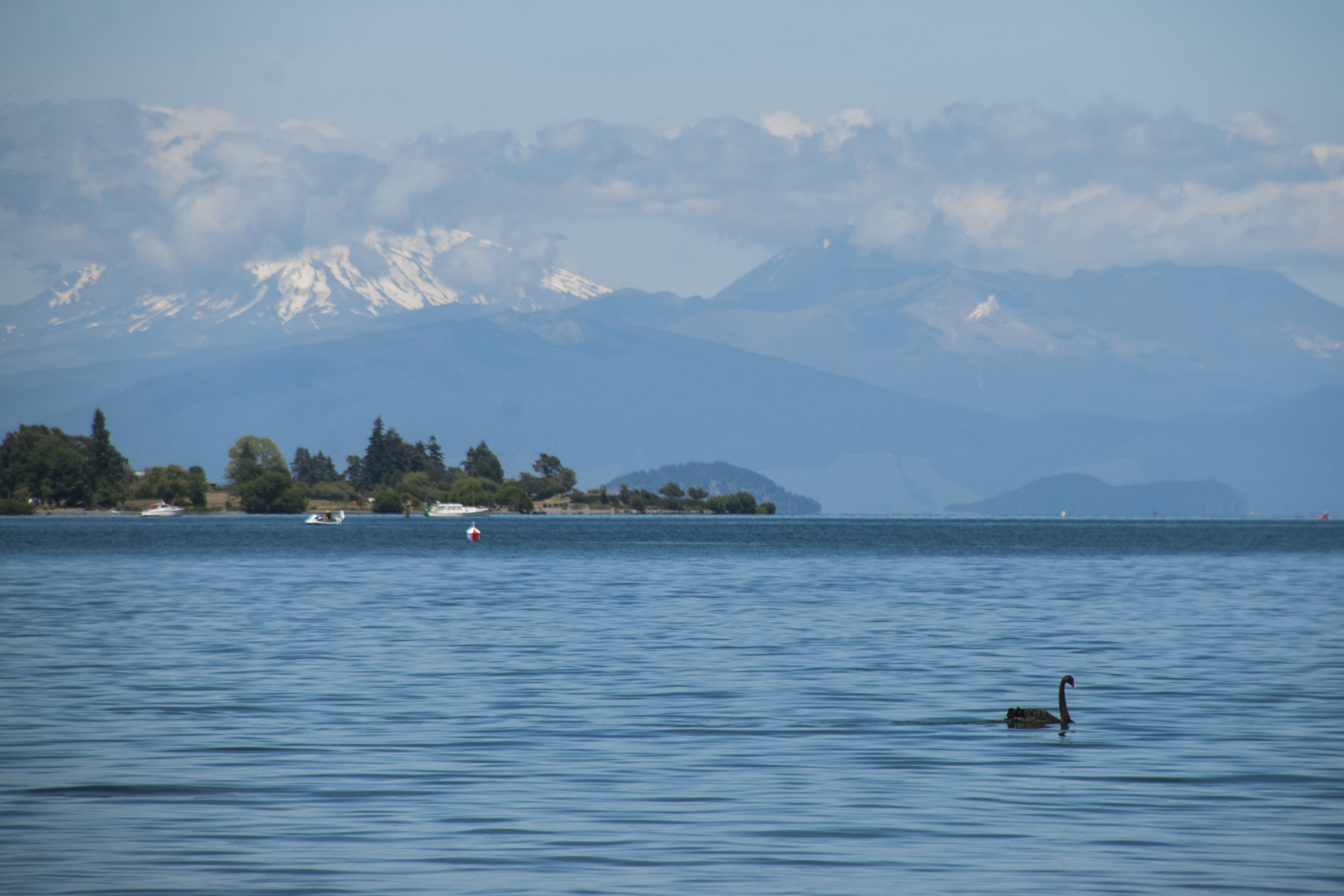 Nikon D200 + Sigma 18-200mm F3.5-6.3 DC sample photo. Taupo lake photography