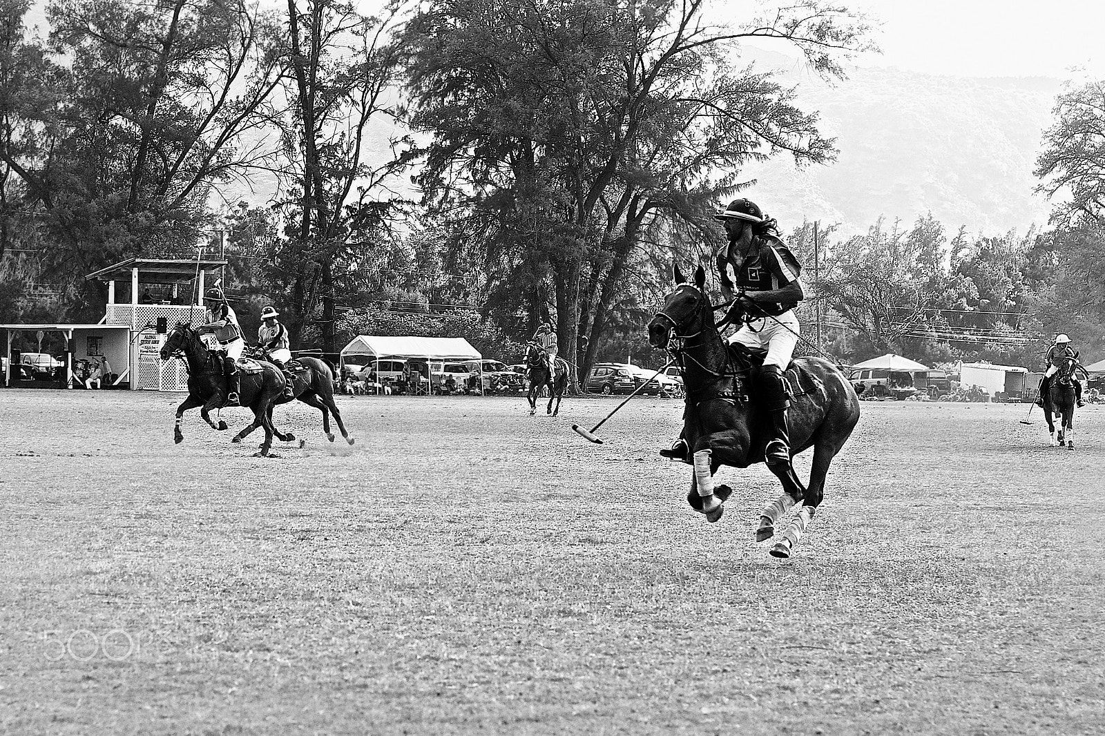 Sony E 50mm F1.8 OSS sample photo. North shore polo 1 photography
