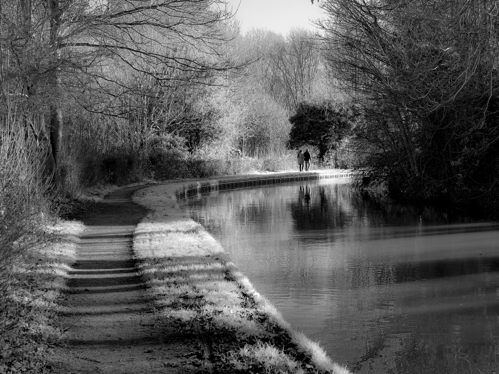 Olympus OM-D E-M10 II sample photo. Along the canal photography