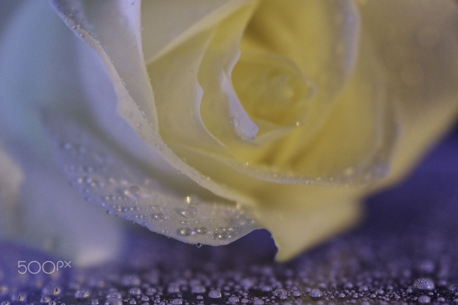 Pentax K-S1 + Pentax smc DA 50mm F1.8 sample photo. Night in white satine photography