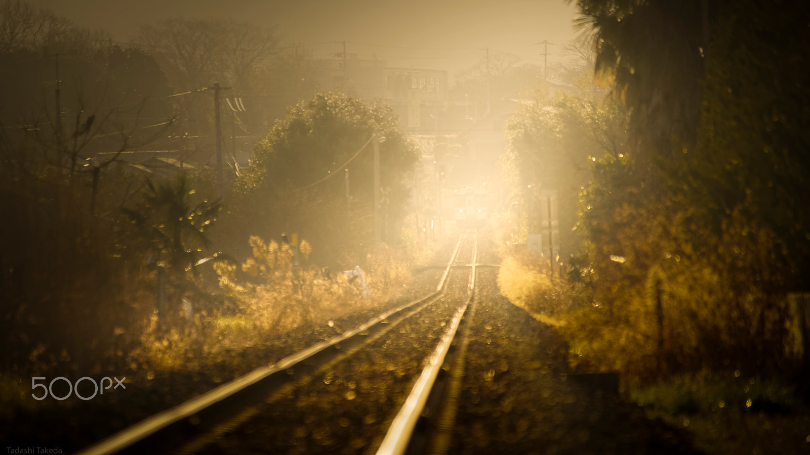 Sony DT 55-300mm F4.5-5.6 SAM sample photo. From beyond the mist photography
