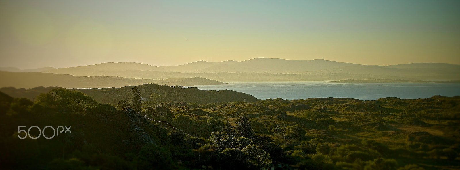 Tamron 18-270mm F3.5-6.3 Di II PZD sample photo. Morning in the west photography