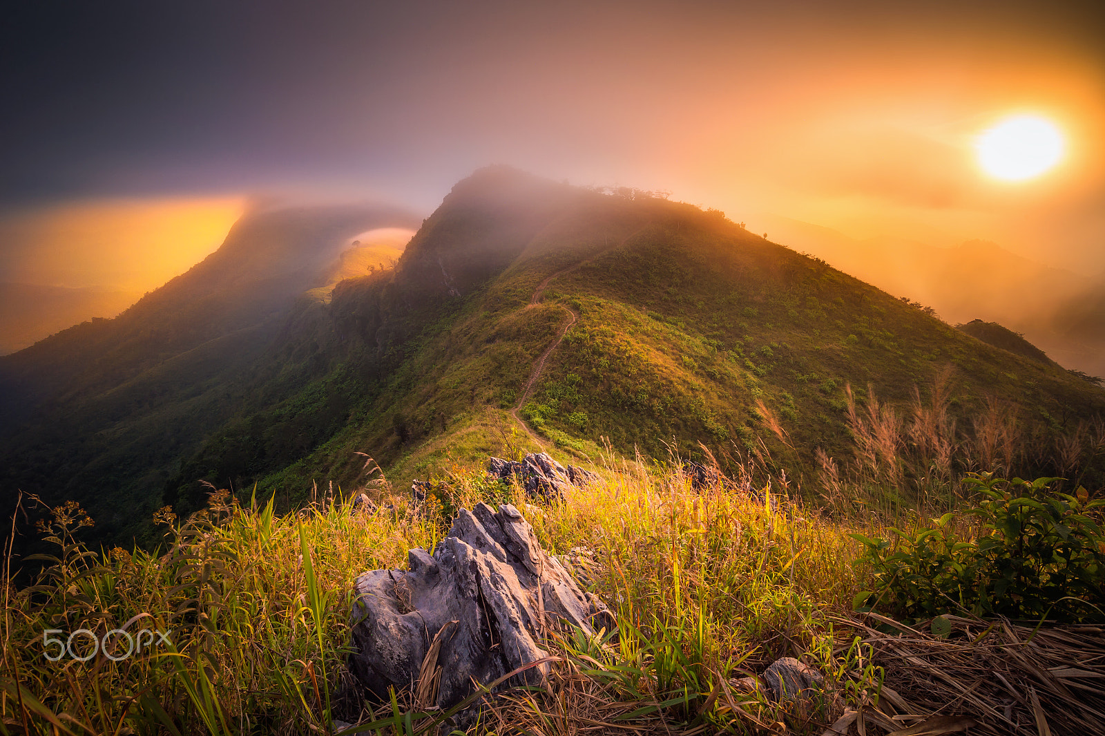 Nikon AF-S Nikkor 18-35mm F3.5-4.5G ED sample photo. Doi pha tang photography