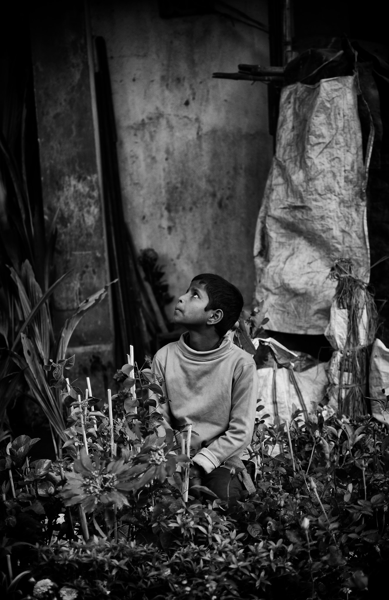 AF Zoom-Nikkor 35-80mm f/4-5.6D N sample photo. Go green (b&w) photography