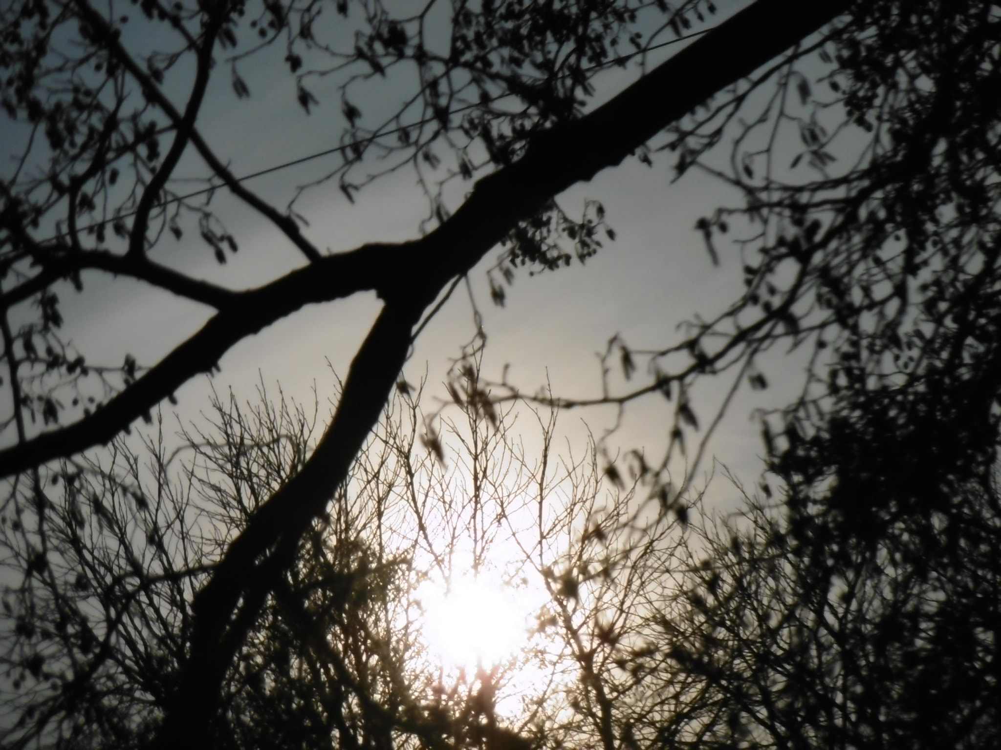 Panasonic DMC-SZ10 sample photo. 24134591415.jpg photography