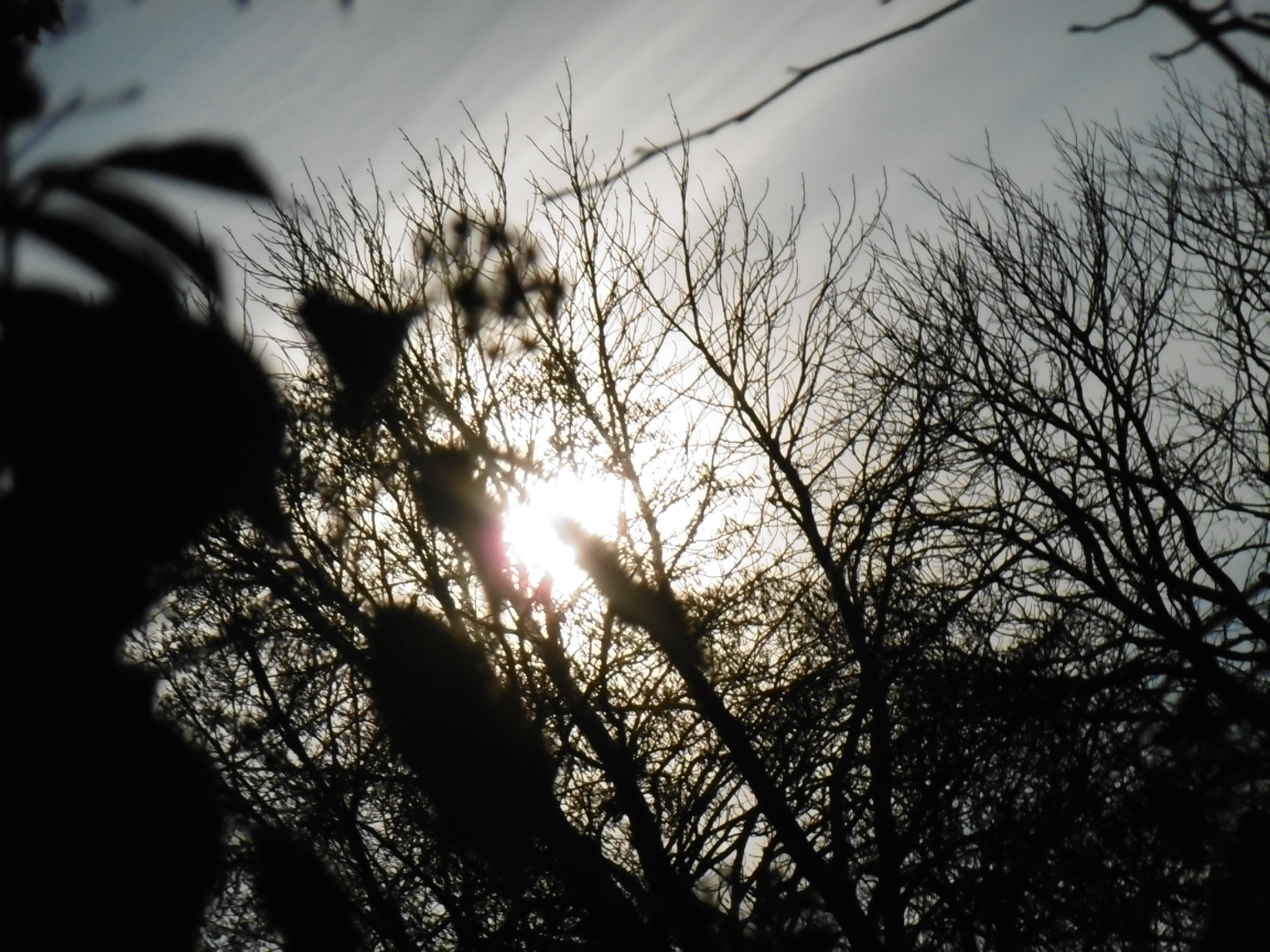 Panasonic DMC-SZ10 sample photo. 23768280189.jpg photography