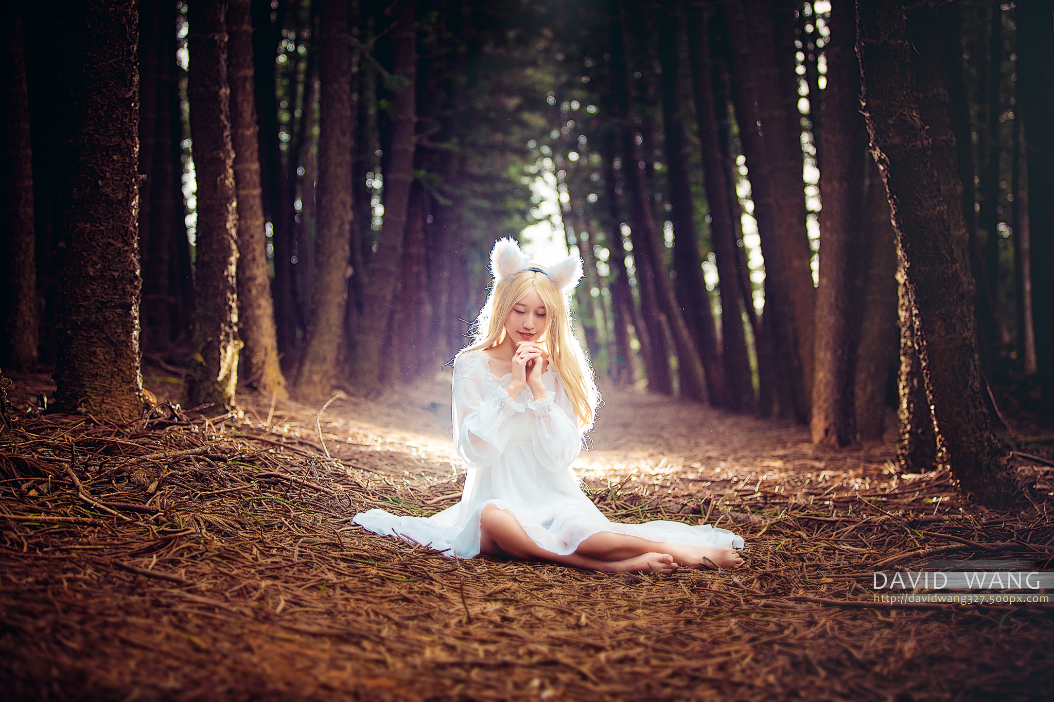 Canon EF 70-200mm F2.8L IS II USM sample photo. Nasia photography