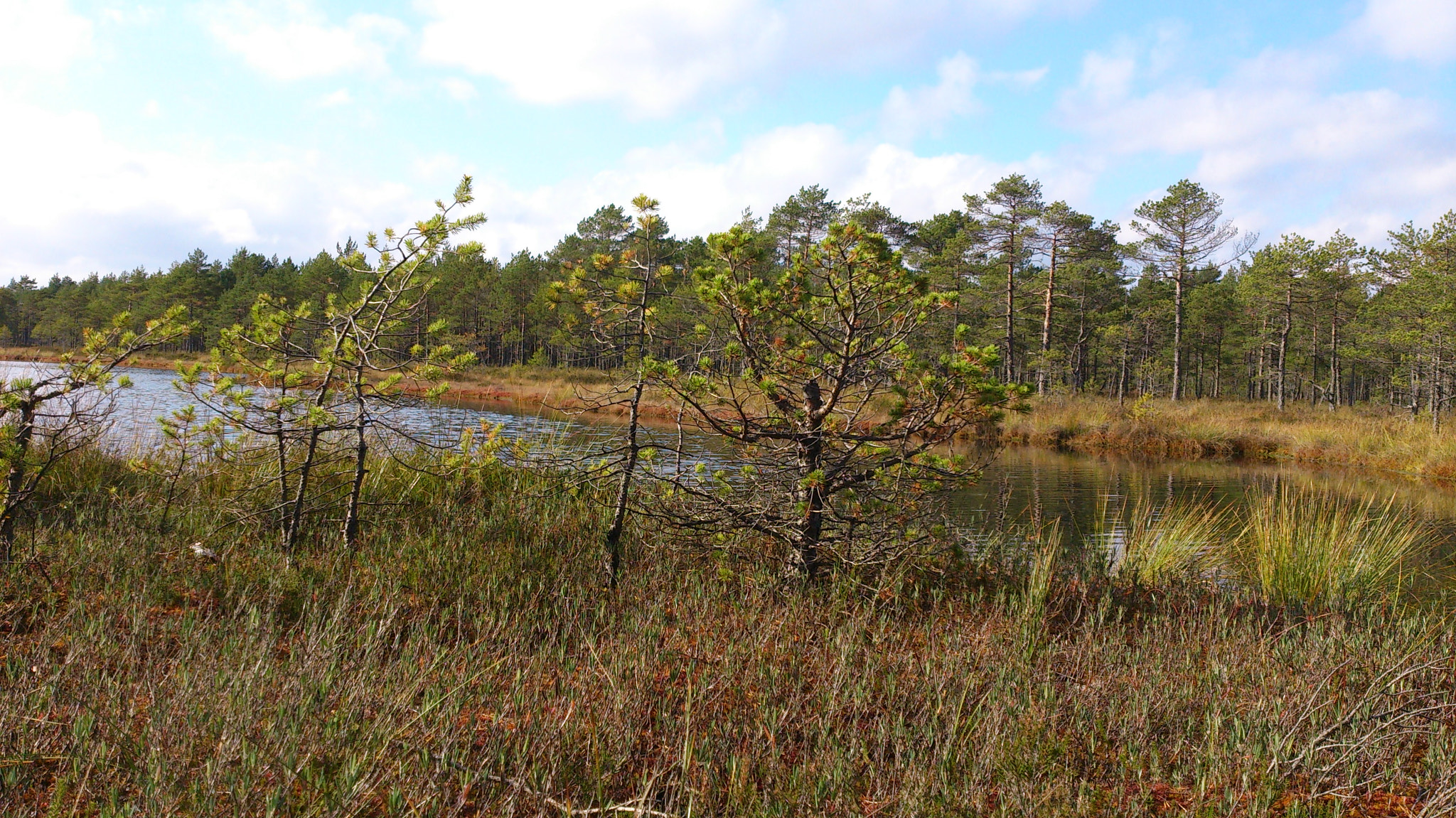 Sony Xperia V sample photo. 155.jpg photography