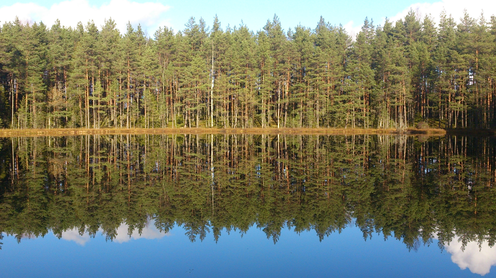 Sony Xperia V sample photo. 208.jpg photography