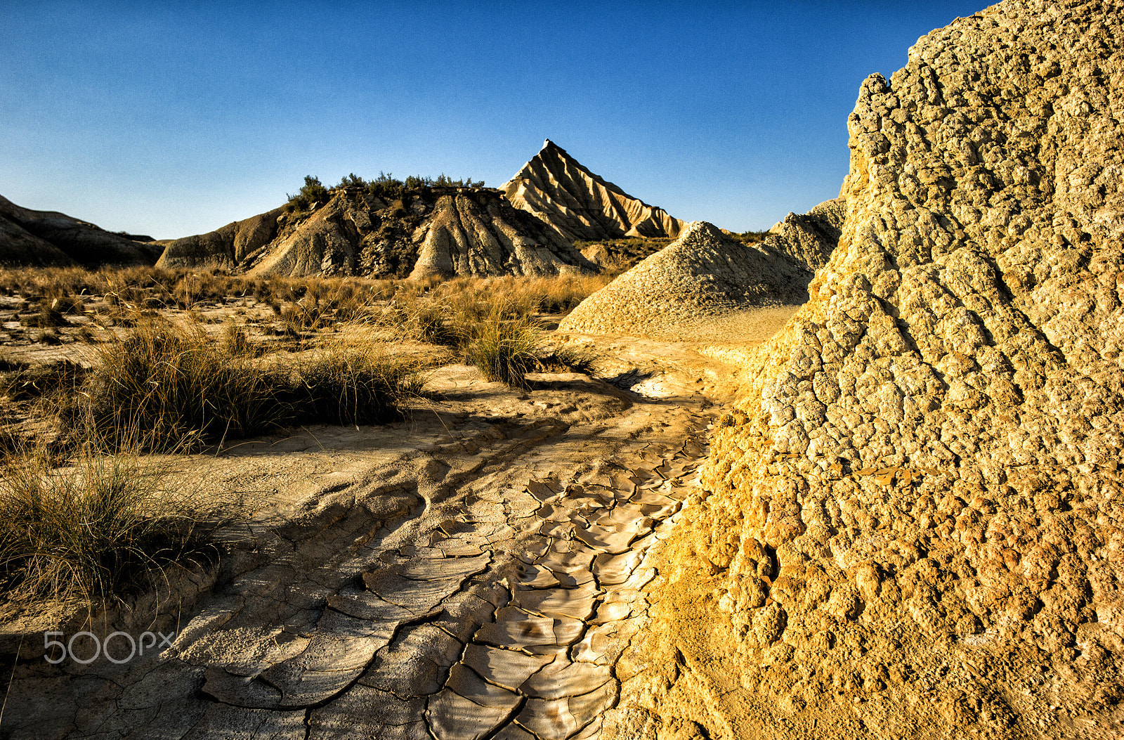 Leica Super-Elmar-M 18mm F3.8 ASPH sample photo. Barenas reales photography