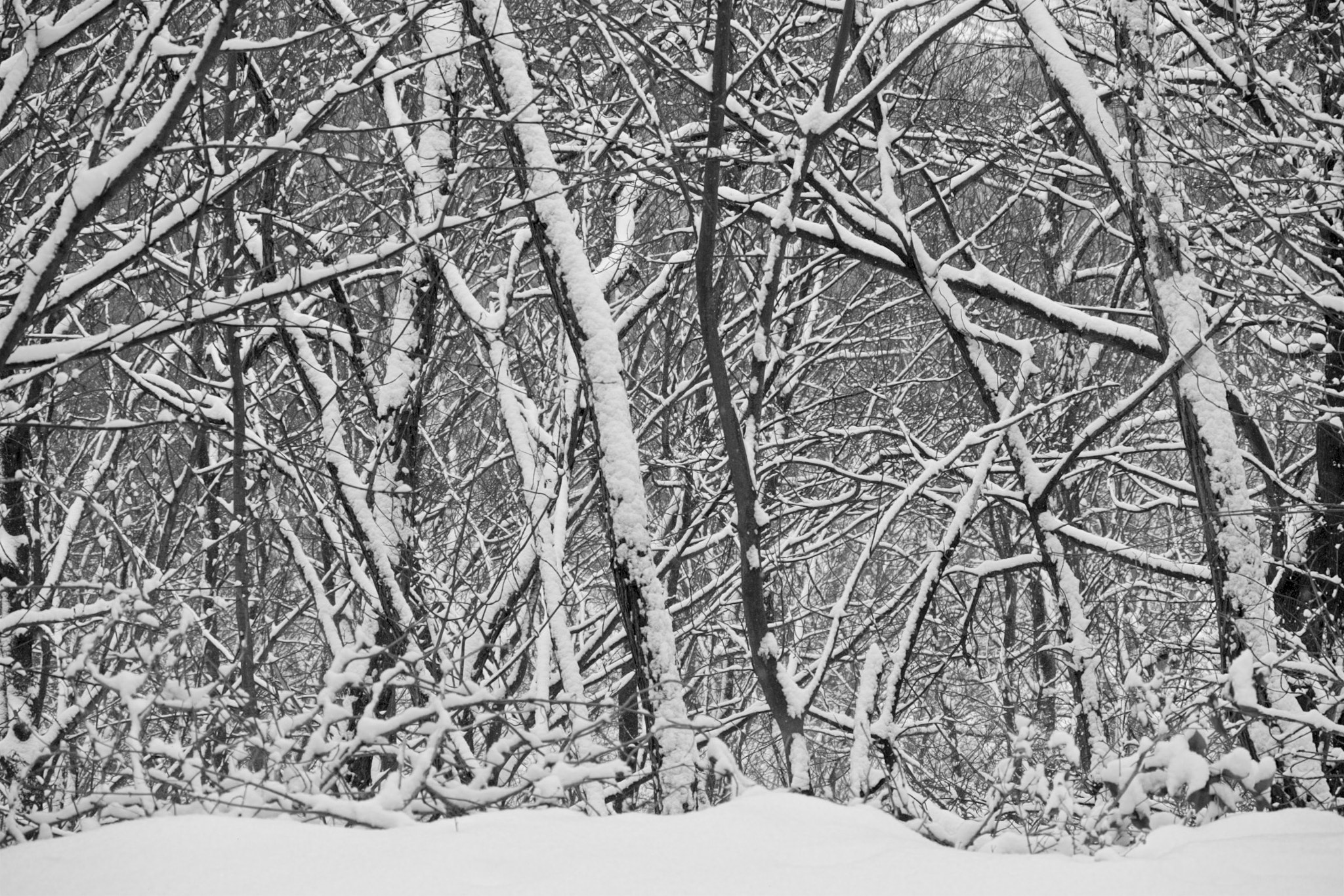 Panasonic Lumix DMC-GH3 sample photo. Humboldthain park photography