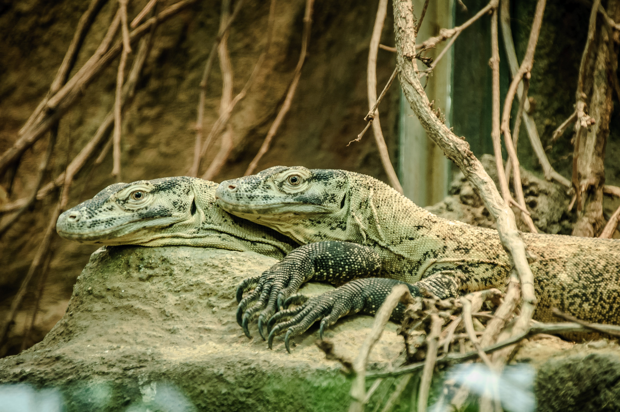 Nikon D50 sample photo. This is love photography