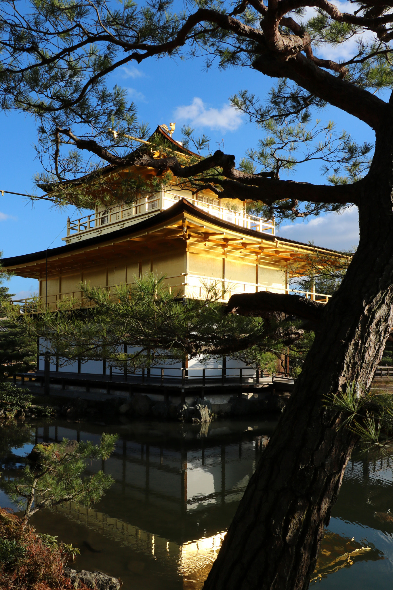 Canon EOS 760D (EOS Rebel T6s / EOS 8000D) sample photo. Kinkakuji photography