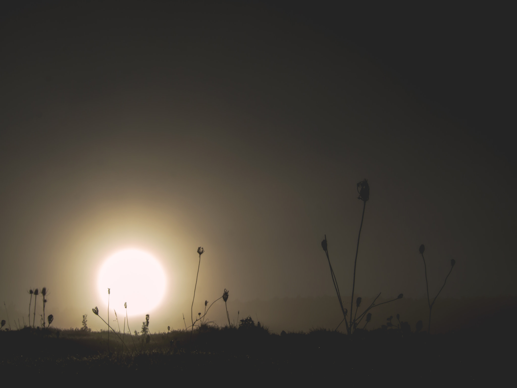 Olympus PEN E-PL3 sample photo. Amanece photography