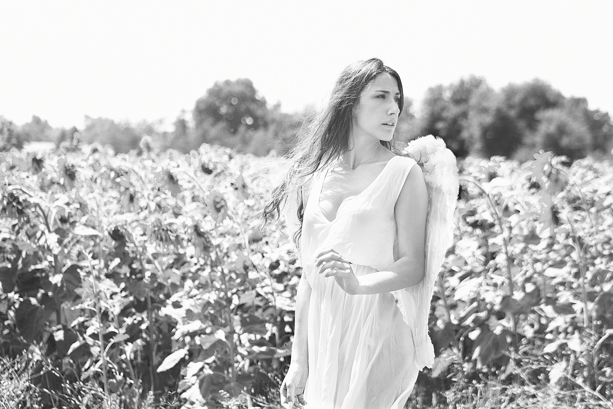 Canon EF 75-300mm f/4-5.6 USM sample photo. Angels photography