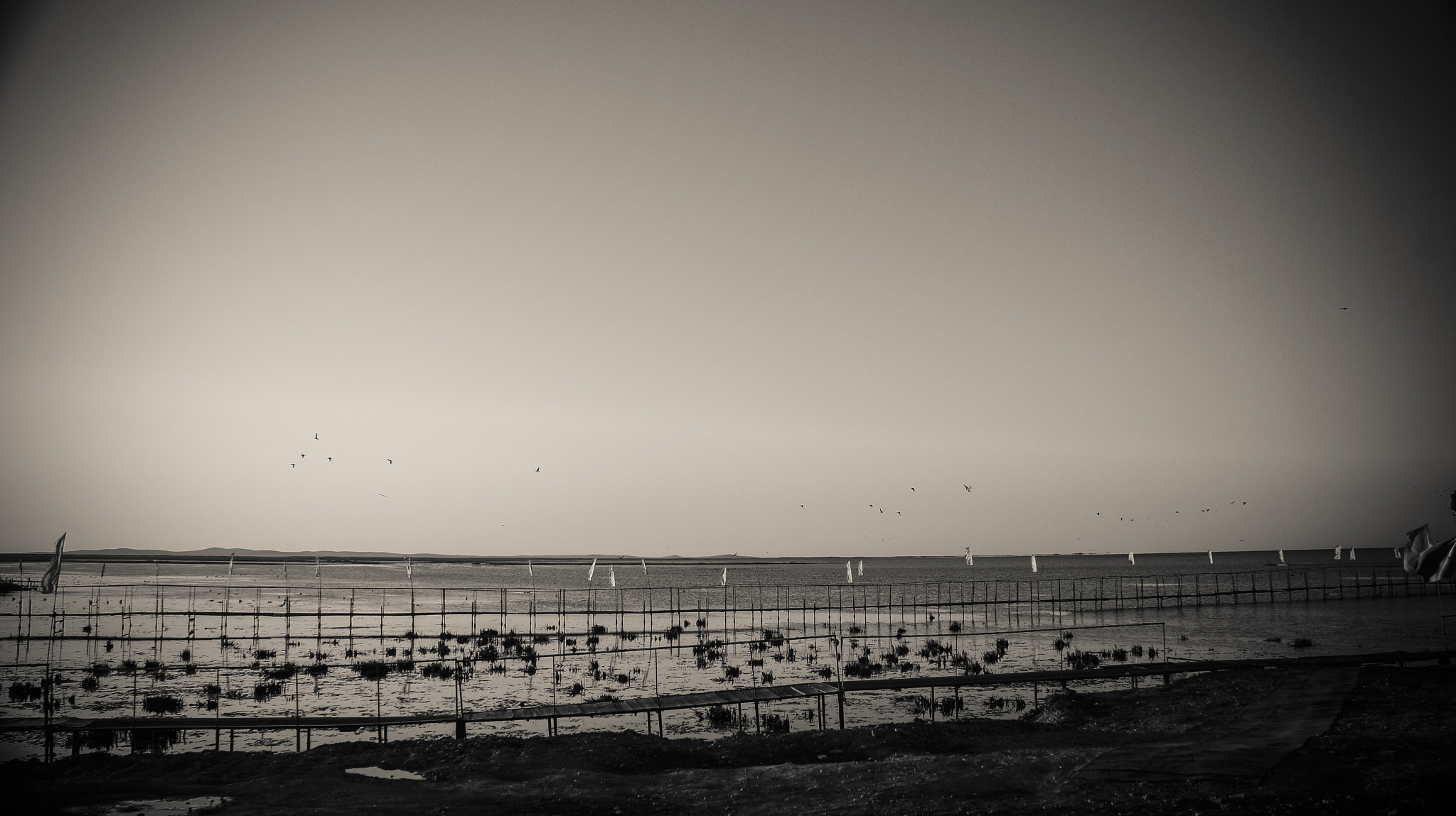 Sony NEX-5C sample photo. Lake photography