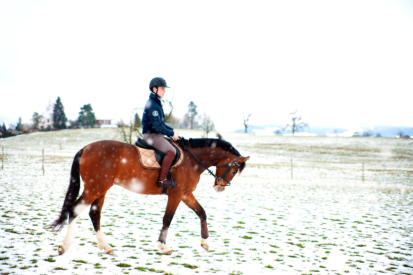 Nikon D700 + Tamron SP 35mm F1.8 Di VC USD sample photo. Horse riding in winter photography