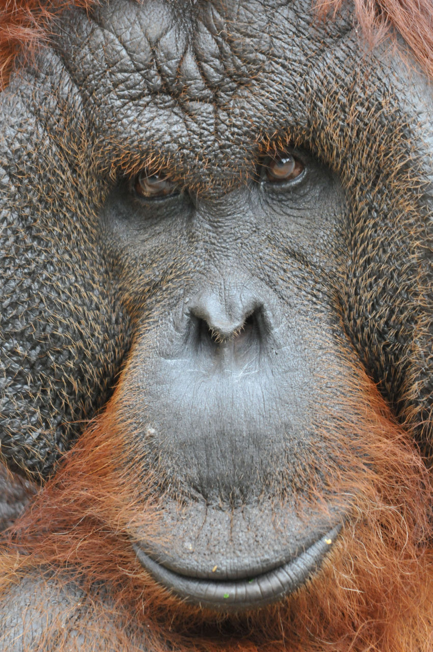 Sigma 150-500mm F5-6.3 DG OS HSM sample photo. Insight photography