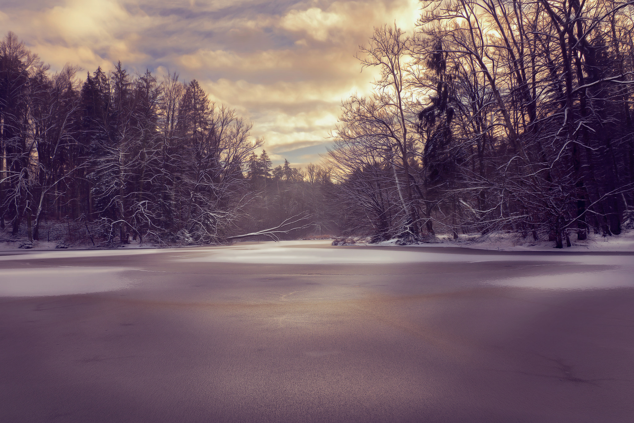 Frozen light | Huckingersee