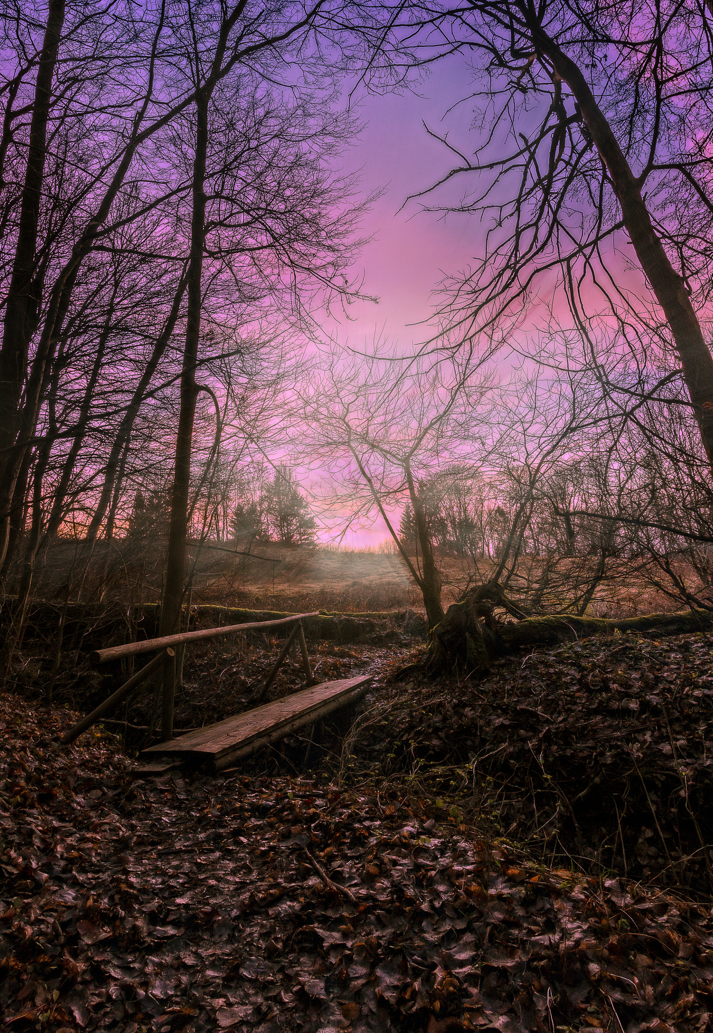 Canon EF-S 10-22mm F3.5-4.5 USM sample photo. Friedrichstal photography